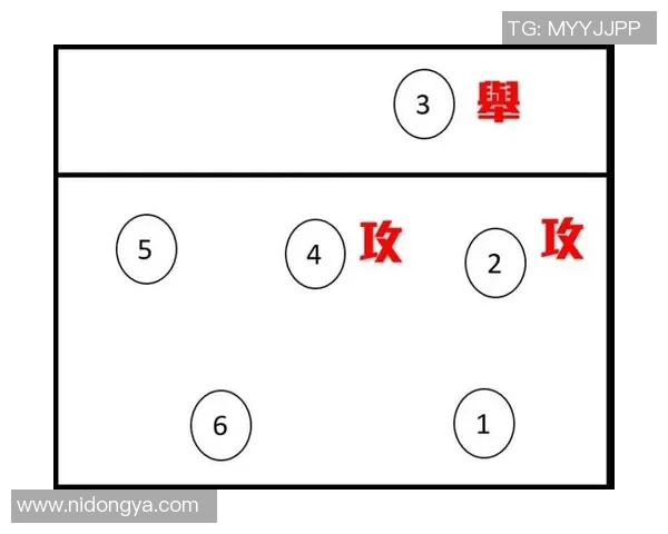 重庆排球队反击战术深度解析与实战应用探讨