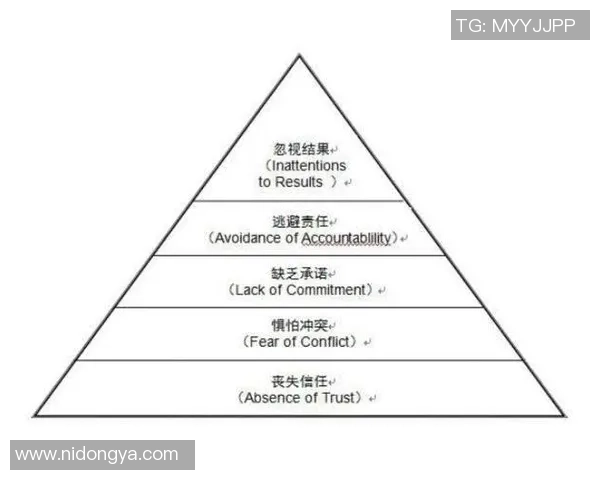 重庆羽毛球队在世界锦标赛中的团队协作表现分析与启示