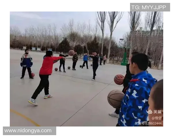 王强独家篮球心得分享：从基础技巧到比赛策略的全面解析与实践经验总结